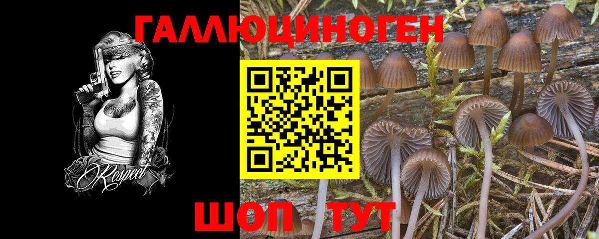 Галлюциногенные грибы Magic Shrooms  Вход с VPN  хочу наркоту  Галлюциногенные грибы MAGIC MUSHROOMS  Кизляр 
